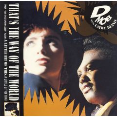 D Mob - That's The Way Of The World - Ffrr