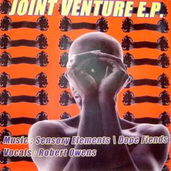 Sensory Elements Ft R.Owens - Sensory Elements Ft R.Owens - Joint Ventures EP - Seven Records