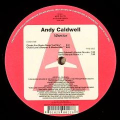 Andy Caldwell Feat. Lisa Shaw - Andy Caldwell Feat. Lisa Shaw - Warrior - Airplane