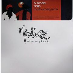 Bumcello - Bumcello - Dalila (Martin Solveig Remix) - Mixture Stereophonic