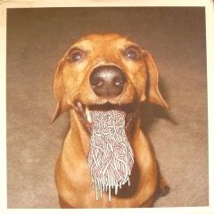 Lee Burridge & Steve Porter - Lee Burridge & Steve Porter - Raw Dog - Almost Anonymous 2