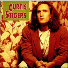 Curtis Stigers - Curtis Stigers - I Wonder Why - Arista