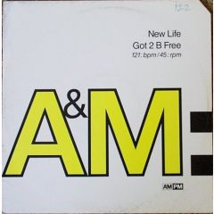 New Life - New Life - Got 2 Be Free - Am:Pm