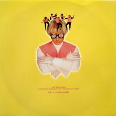Pet Shop Boys - Pet Shop Boys - I Wouldn't Normally Do This (Remixes) - Parlophone