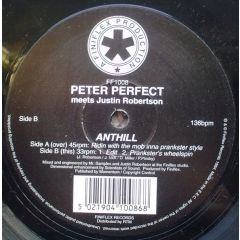 Peter Perfect Vs J.Robertson - Peter Perfect Vs J.Robertson - Anthill - Finiflex