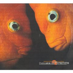 Various - Various - Essential Dance Music's House Of Orange - Manifesto