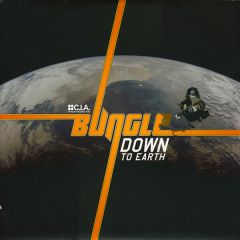 Bungle - Bungle - Down To Earth - CIA