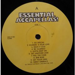 Various - Various - Essential Accapellas - Z Records