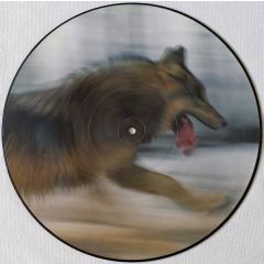 Dave Clarke - Dave Clarke - The Wolf (Picture Disc) - Skint