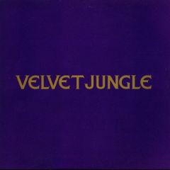 Velvet Jungle - Velvet Jungle - C'mon C'mon (I'm Not In Love With You) - Sony Soho Square