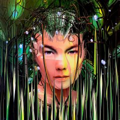 BjöRk - BjöRk - Bachelorette - One Little Indian