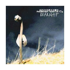 Amusement Parks On Fire - Amusement Parks On Fire - In Flight - V2