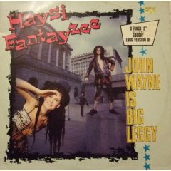 Haysi Fantayzee - Haysi Fantayzee - John Wayne Is Big Leggy - Regard Records