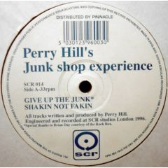 Perry Hill's Junk Shop Experience - Perry Hill's Junk Shop Experience - Give Up The Junk - South Circular Recordings