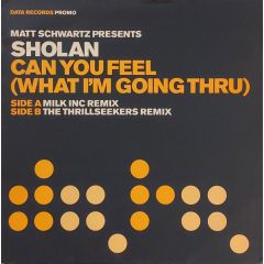 Matt Schwartz Presents Sholan - Matt Schwartz Presents Sholan - Can You Feel (What I'm Going Thru) - Data Records