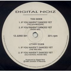 Digital Noiz - Digital Noiz - If You Haven't Danced Yet - Junction 14 Records