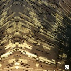 Ion Ludwig - Ion Ludwig -  For Real We Are Not For You Ep - Toi Toi Musik