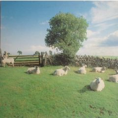 The KLF - Chill Out - Klf Communications